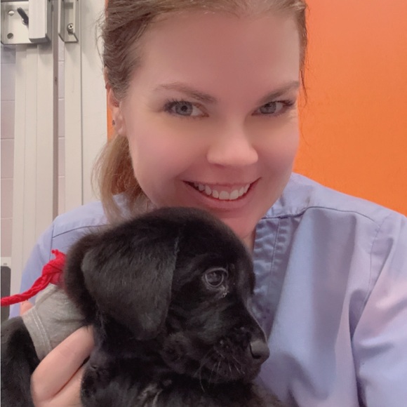 Meet your Posher, Ashley - Picture 3 of 5